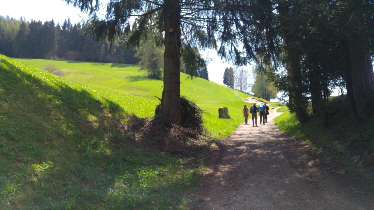 Alpen Garten Hotel Margherita Rumo Екстериор снимка